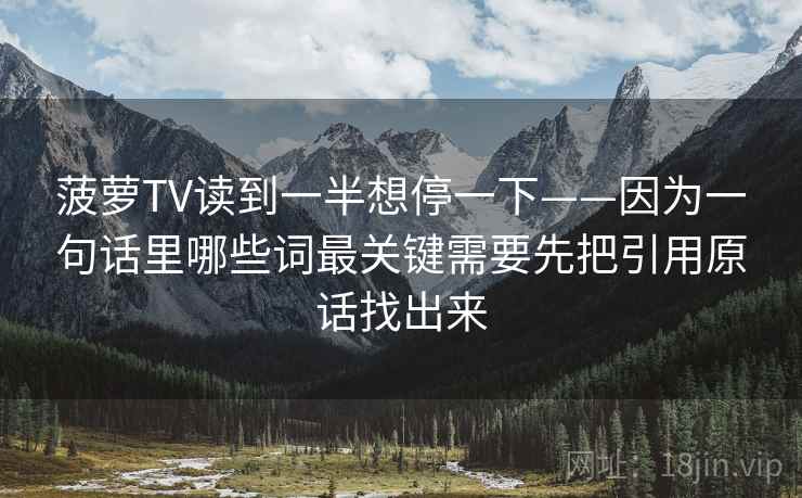 菠萝TV读到一半想停一下——因为一句话里哪些词最关键需要先把引用原话找出来
